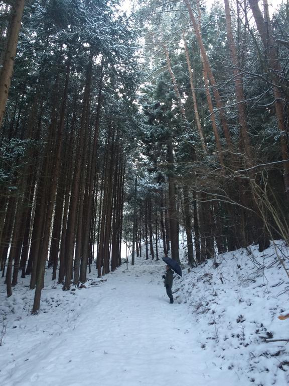 Hotel Anzuan Nishida Ueda Zewnętrze zdjęcie
